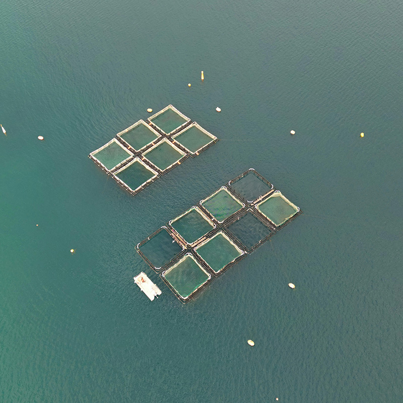 Seawater aquaculture