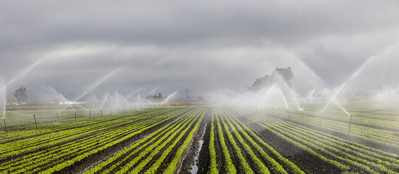 Wireless Smart Irrigation